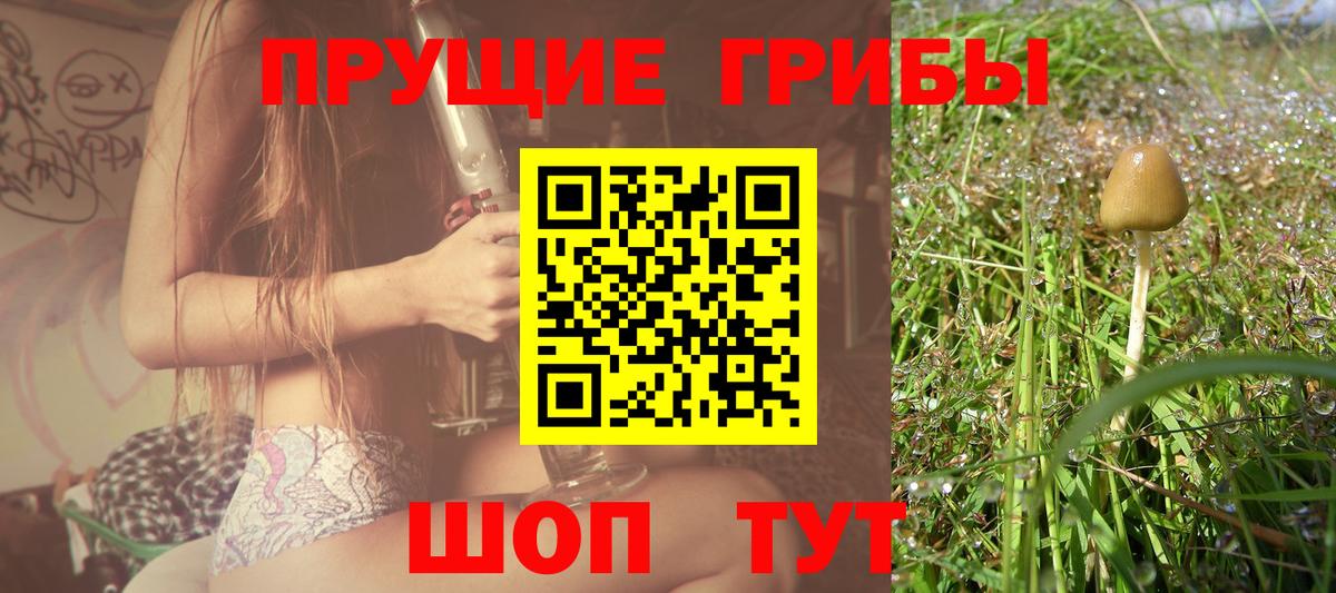 Галлюциногенные грибы прущие грибы Златоуст